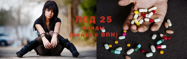 apvp Бородино