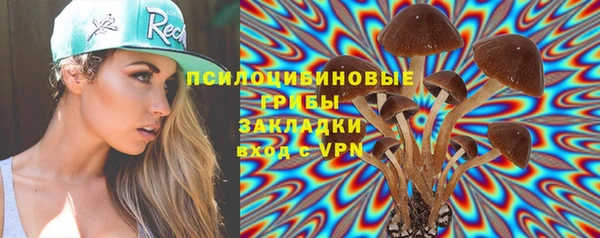 тгк Сосновый Бор