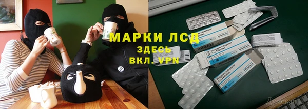 apvp Бородино