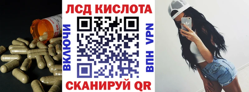 сколько стоит Губкин Лсд 25 экстази кислота